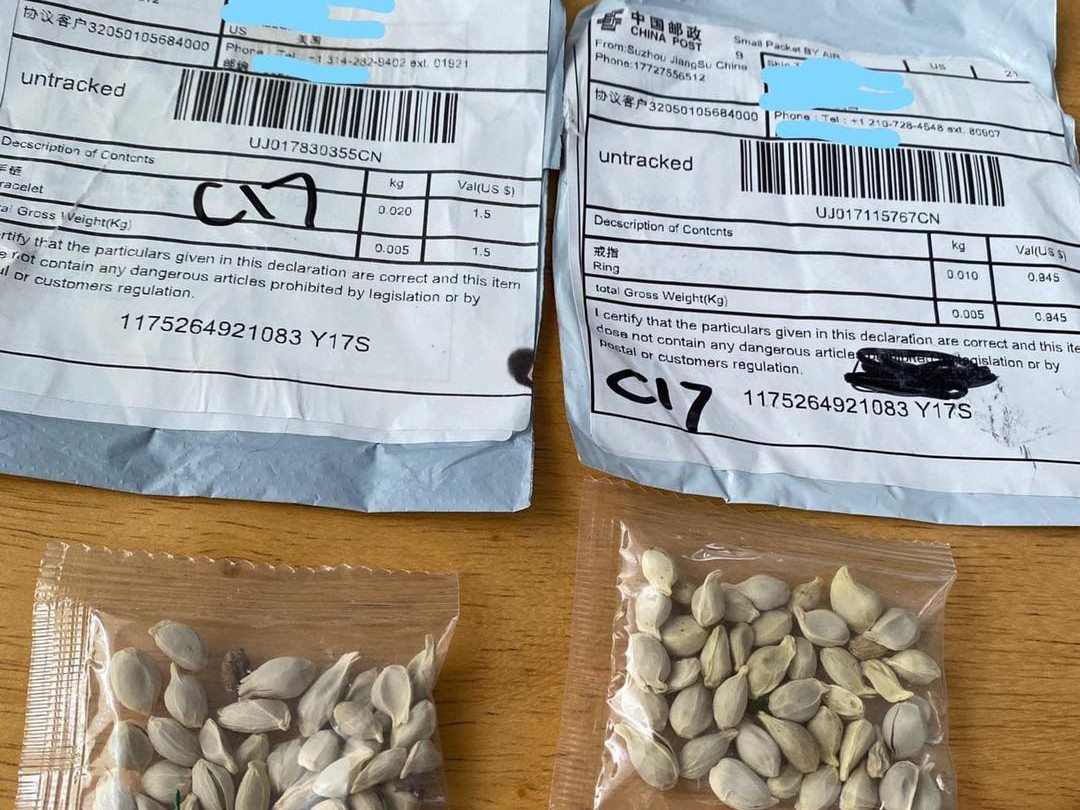 Mystery Seeds from China Baffle Residents Across the U.S.