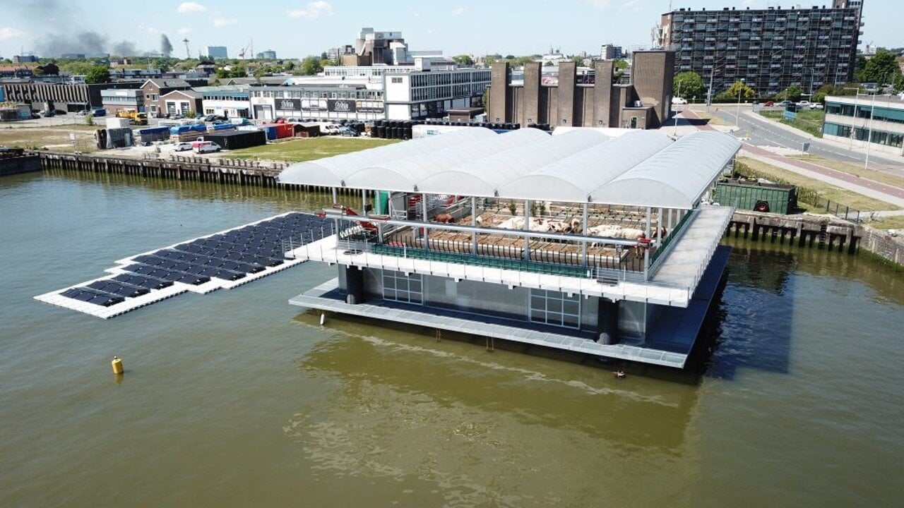 World’s First Floating Farm Opens in Rotterdam: A New Era in Sustainable Agriculture