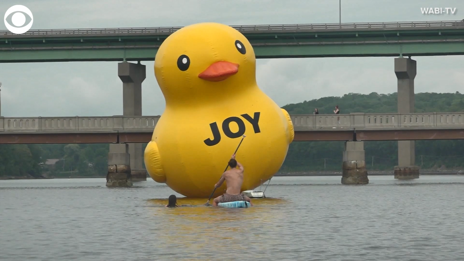 Giant Rubber Duck Sparks Mystery as It Appears Off Maine Coast